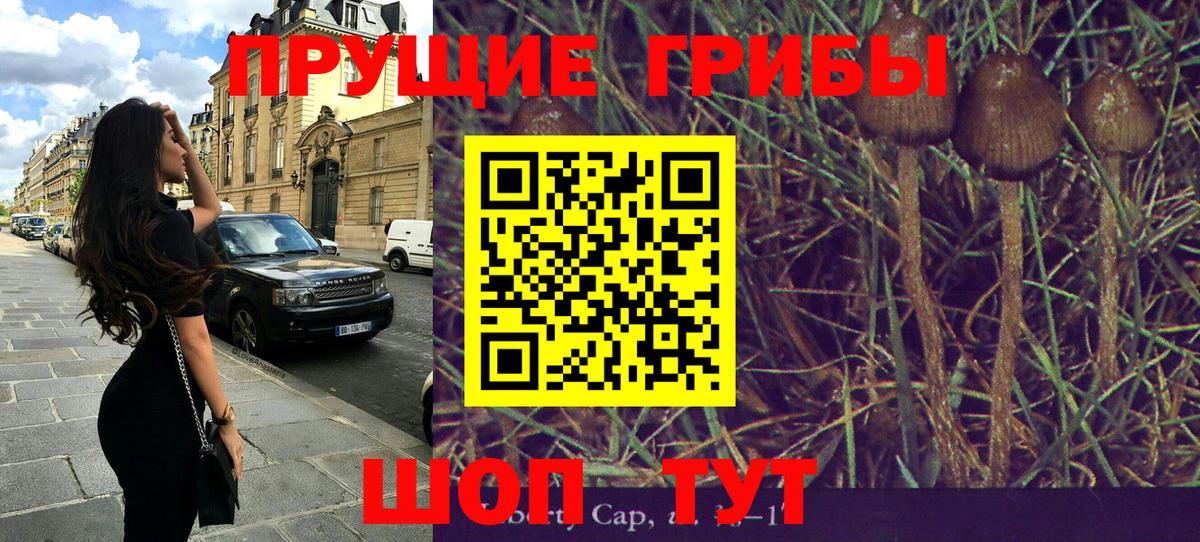 Псилоцибиновые грибы Psilocybe Соликамск